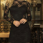 Black-lace transparent dress