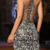 Shimmery Dark Dress